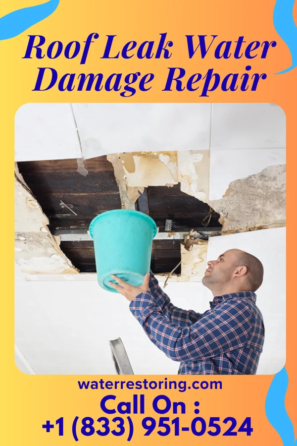 Roof Leak Water Damage Repair in McColl, SC
