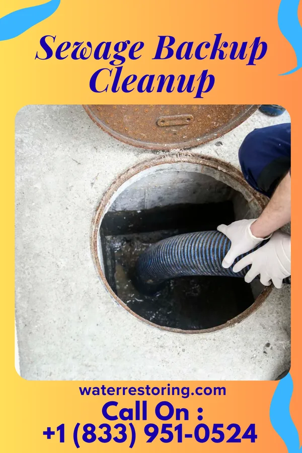 Sewage Backup Cleanup in McColl, SC